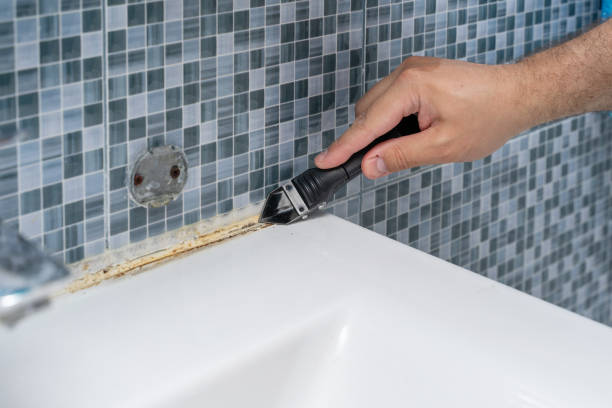 Best Health and Safety Mold Remediation in Brighton, MI