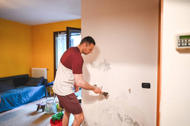 Best Residential Mold Remediation in Brighton, MI